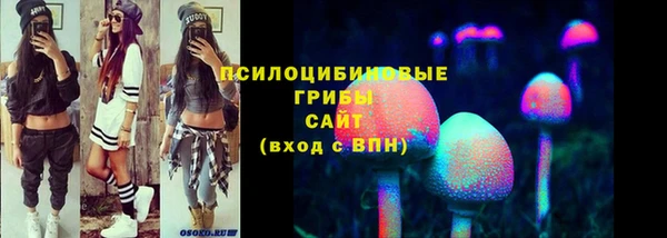 прущий лед Аркадак